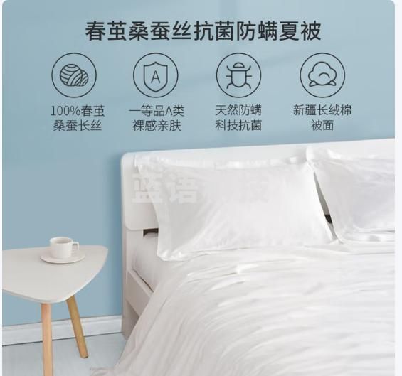 京东京造苏州双宫茧100%桑蚕丝被 夏被 非遗工艺A类被子被芯2.2x2.4m约4斤