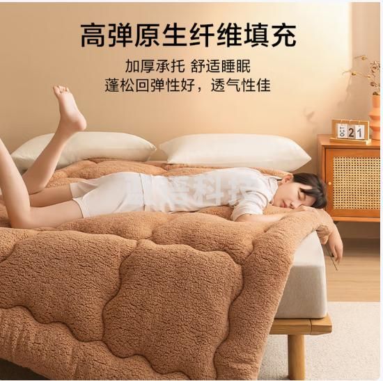 京东京造暖羊羊床褥 A类寒冬保暖羊羔绒面料加厚床垫褥子1.2x2m暖暖棕