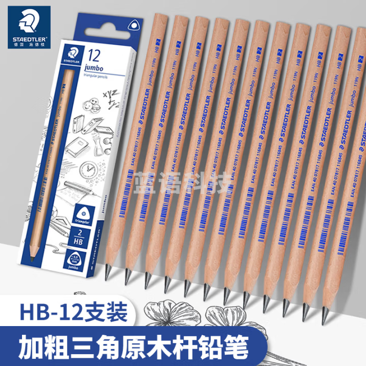 施德楼（STAEDTLER）HB铅笔 加粗三角原木杆学生考试美术素描绘图笔开学用品 三角粗杆-HB 12支/盒 119N-HB