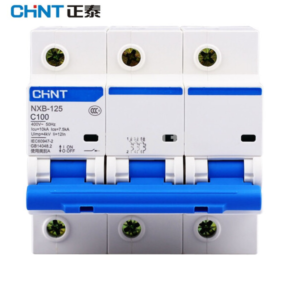正泰（CHNT）NXBLE-125 小型漏电保护断路器 漏保空气开关 NXBLE-125-3P-C100 30mA