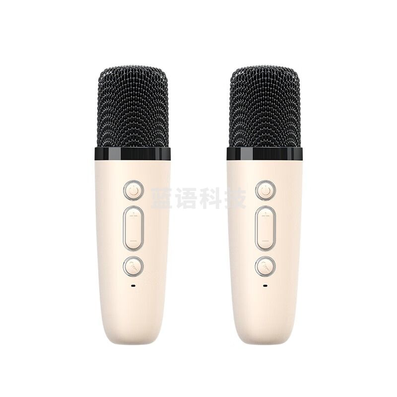 纽曼（Newmine）DP99无线蓝牙音箱家庭ktv音响套装户外小型家用双麦版