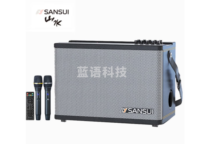 山水（SANSUI）SS190无线蓝牙音箱吉他音响乐器广场舞音响手提便携户外k歌专业直播家用带无线话筒双麦克风