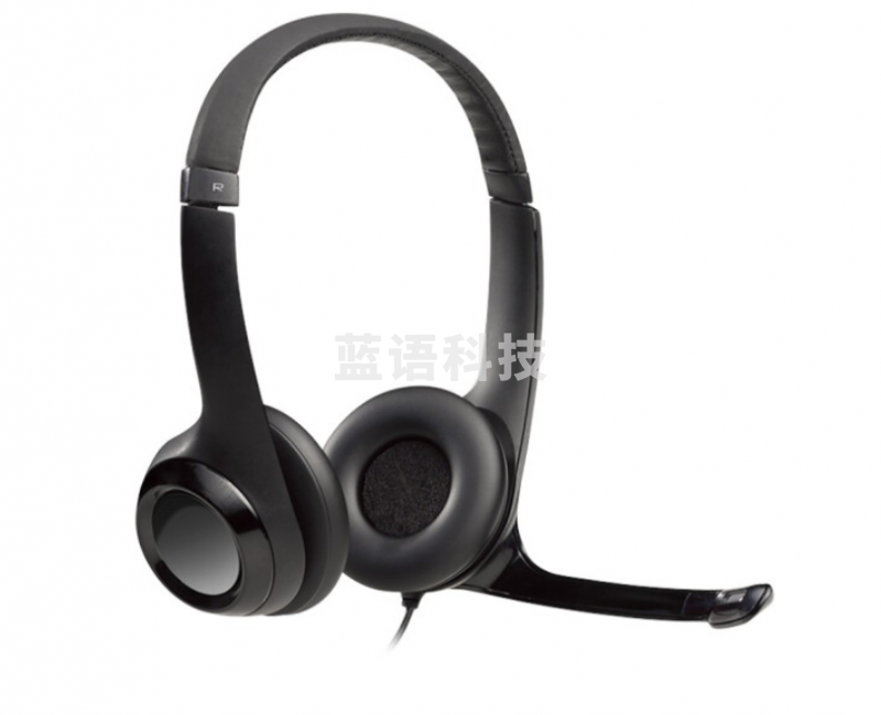 罗技(Logitech) H390 头戴式立体声耳机耳麦 USB有线耳机带麦 电脑笔记本办公耳麦培训 黑色