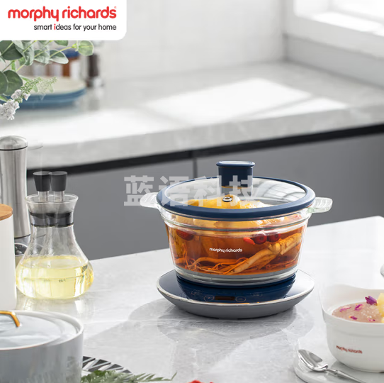 摩飞电器(Morphyrichards)多用途锅 家用电炖锅 养生锅电炖盅炖汤电煮锅煮粥锅 可预约定时 MR9081 轻奢蓝