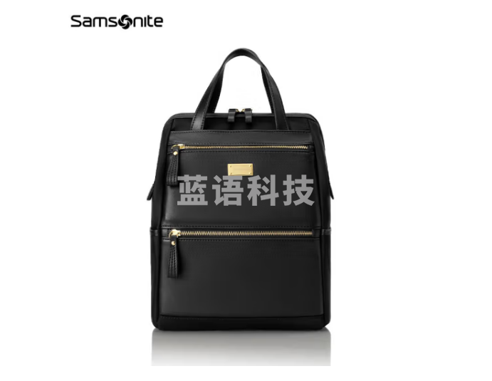 新秀丽（Samsonite）电脑包23年上新休闲双肩背包可手提包BT5*09003黑色小号