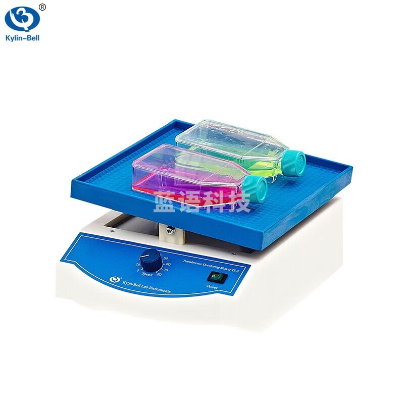 其林贝尔 TS-8S转移脱色摇床 ZD-2008/9550 万向摇床TS-92型 TS-8 调速