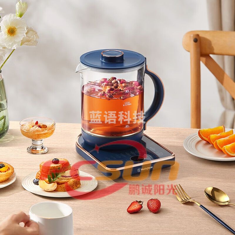 西屋WEK-C170养生壶 多功能煮茶器1.6L