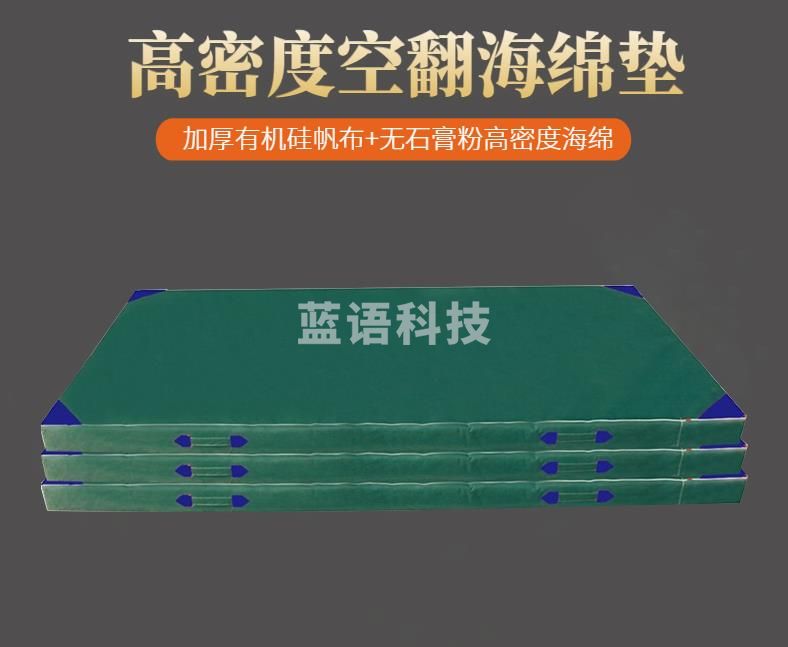腾峙 空翻垫 跳高海绵垫体能训练垫子防护垫攀岩武术垫空翻垫体育训练练功垫体操垫 一片