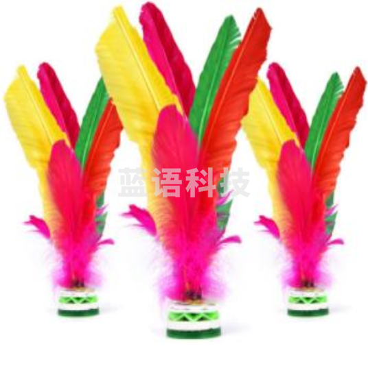 鹅毛静音大号毽子