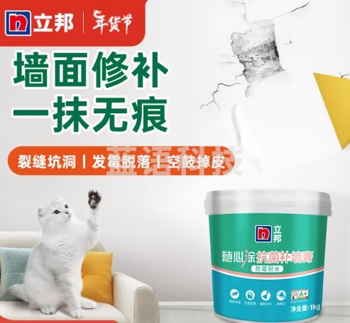 立邦随心涂抗菌防霉耐水补墙膏 墙面修补膏补墙漆修复腻子粉白色1kg