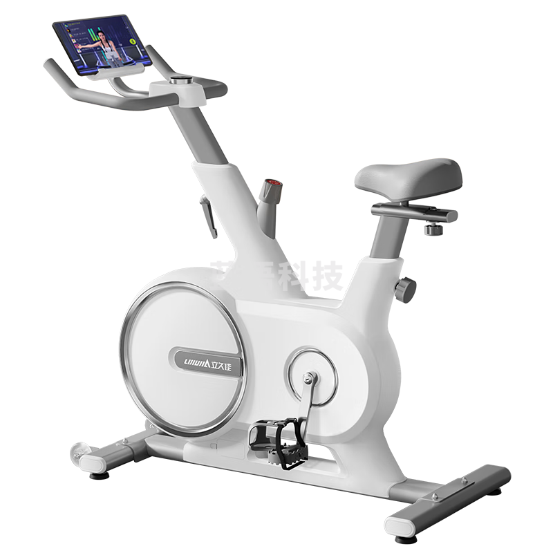 立久佳（lijiujia）自发电动感单车家用智能磁控室内自行车运动健身器材 追风X-POWER D500