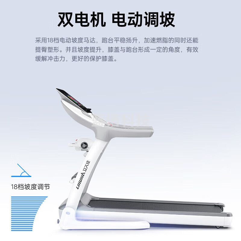 立久佳（lijiujia） 跑步机家庭用智能可折叠走步机健身房运动器材R8彩屏多功能黑 X6S
