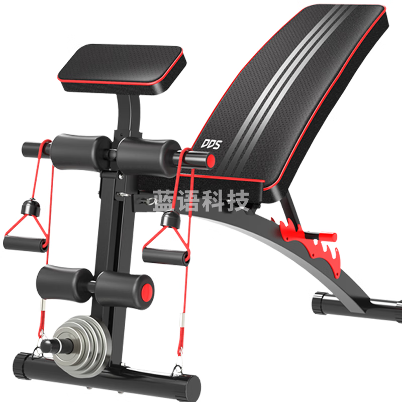 多德士（DDS）多功能哑铃凳健身椅健腹板仰卧起坐板家用运动健身器材DDS1208T
