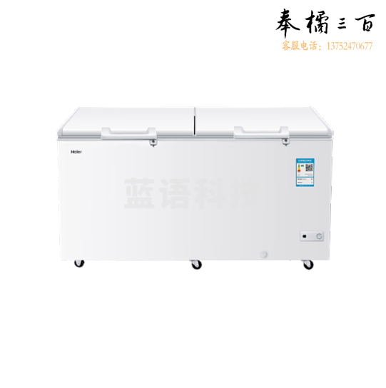 海尔（Haier）429升 双开门商用大容量深冷速冻冰柜 BC/BD-429HCM   1410*905*745