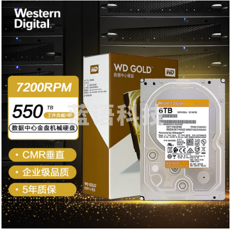 西部数据(Western Digital)WD6003VRYZ金盘 6TB SATA6Gb/s 7200转256M 企业硬盘