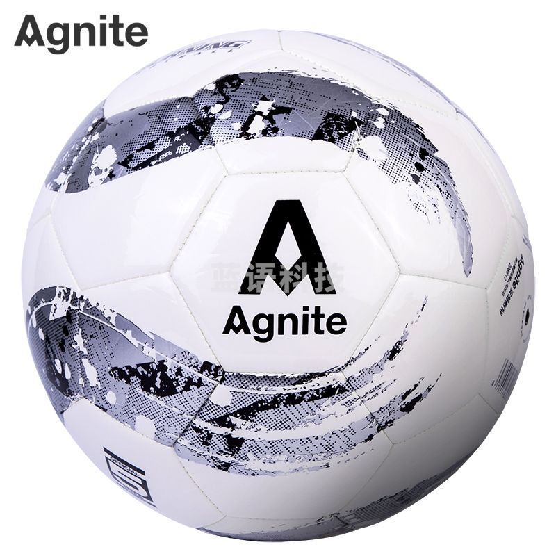 安格耐特（Agnite） F1201 5号足球 标准球训练成人儿童教学比赛耐磨 TPU机缝
