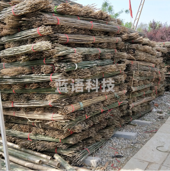 细竹竿 4米/根 30根/捆