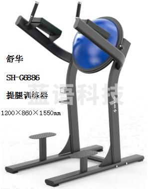 舒华SH-G6886提腿训练器
