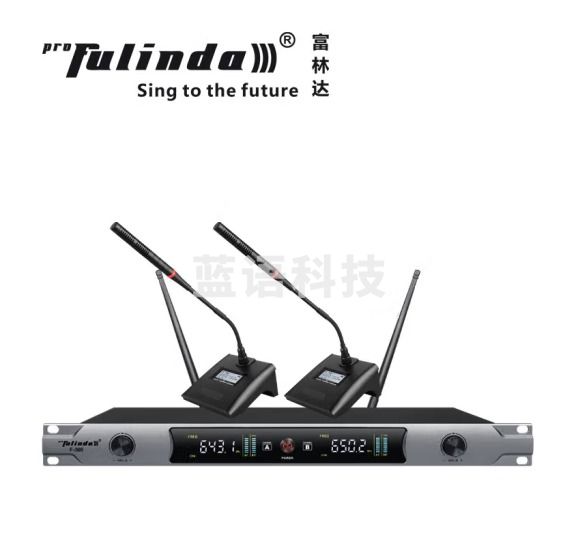 富林达（proFulinda） F-300无线话筒麦克风一拖二家庭KTV卡拉OK学校演讲U段调频 双会议
