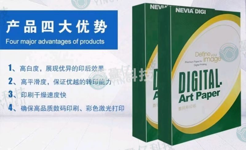 妮维雅铜版纸A3++