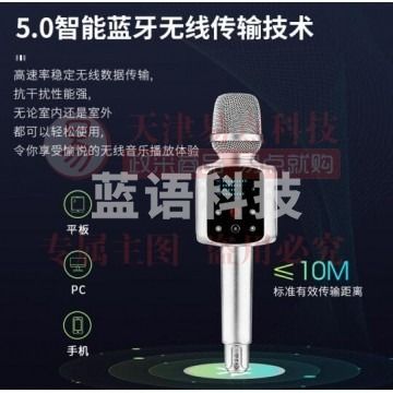 权盟炫声麦R2 pro无线蓝牙话筒音响一体麦克风 直播旗舰版带U段 IT.1722
