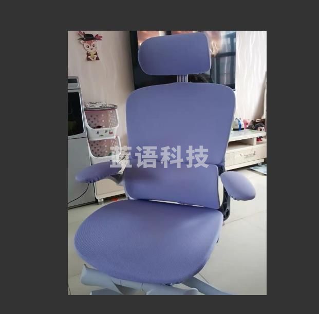 座椅套（CX202505291440253891）