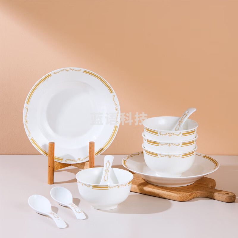 荣事达(Royalstar)RCR-CY-10 碟碗勺餐具十件套 瓷韵精致生活