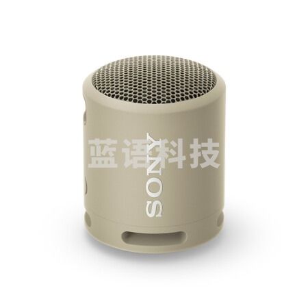 索尼（SONY）SRS-XB13 蓝牙音箱 迷你便携 重低音16小时续航 户外音箱 IP67防水防尘 灰褐色