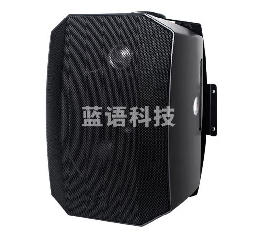 菱声305壁挂音箱背景音乐系统公共广播教室超市店铺商场壁挂音响会议室音响 黑色30瓦豪华壁挂音响