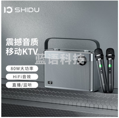 十度(ShiDu) 十度T11无线蓝牙电子管技术发烧级HIFI音箱手提胆机音响舞台/家庭K歌 无线版 深空灰 标配