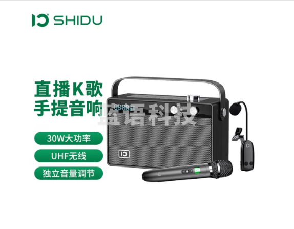 十度(ShiDu) 天籁T6 家庭ktv音响套装hifi发烧级k歌音响家用无线蓝牙音箱低音炮户外直播 深空灰 话筒+通用乐器麦