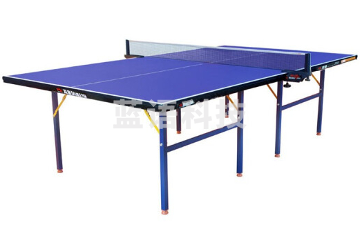 双鱼 标准乒乓球桌单 折叠式训练与比赛家用室内乒乓球台 501A