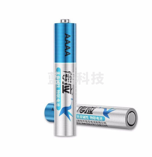 南孚(NANFU)传应 9号电池2节/卡 全新升级物联碱性电池 适用电子手写笔/蓝牙耳机/智能门锁/遥控器