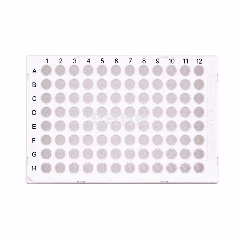 Bio-Rad伯乐 HSP9601白边透明管Hard-Shell低位96孔全裙边PCR反应板 10块/包