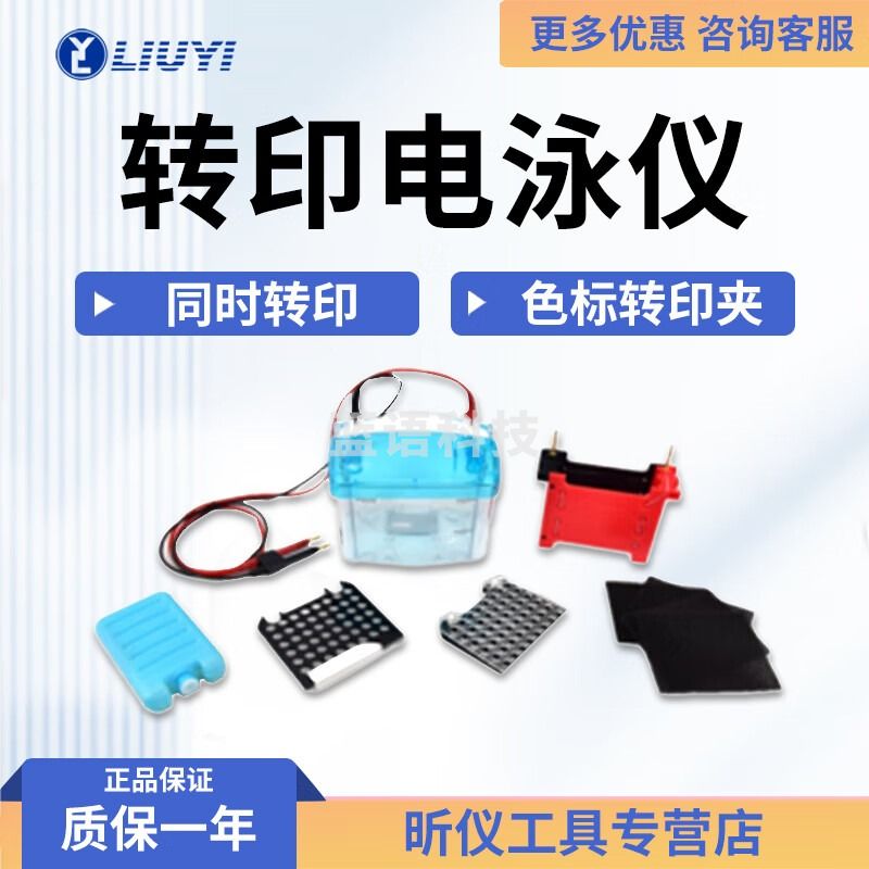 六一牌（LY）北京六一 DYCZ-TRANS2 转印电泳仪 DYCZ-TRANS2