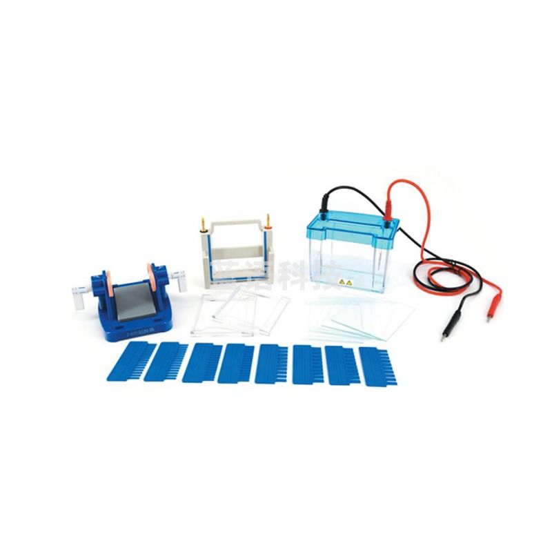 HBZJ六一 DYCZ-24DN型迷你双垂直电泳仪 用于蛋白凝胶电泳