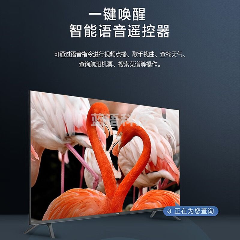 松下（Panasonic）电视65英寸4K超清全面屏六色优化安10家长模式教育电视开机无广告TH-65LX560C优选以旧换新