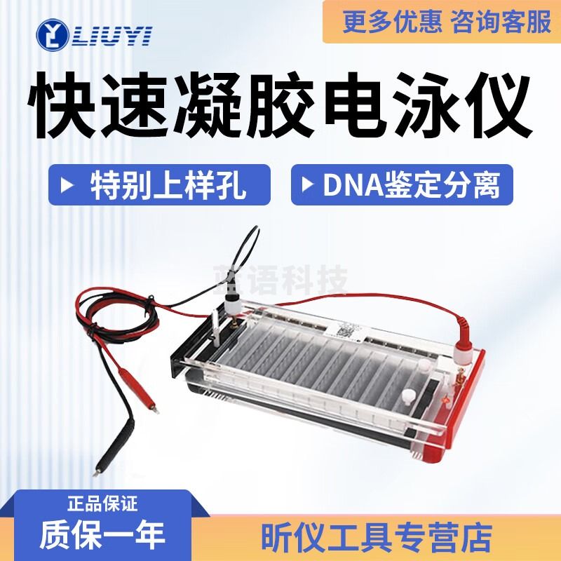 六一牌（LY）北京六一 DYCP-44N DYCP-44P 快速凝胶电泳仪 DYCP-44N