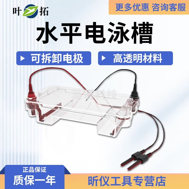 叶拓叶拓 DYCP-31DN系列 垂直/转印/水平电泳槽 电泳仪电源 DYCP-31DN