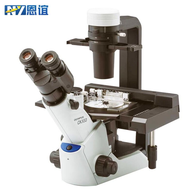 恩谊 显微镜倒置体式生物显微镜奥林巴斯专业临床研究金相 倒置CKX53 含成像系统DM2000L1含三色荧光含电脑