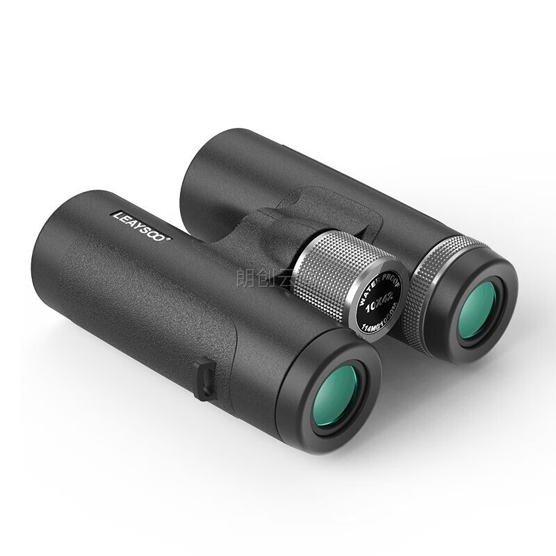 雷龙 leaysoo 黑鹰系列10x42 黑色高清高倍版充氮气防水大目镜广角户外微光夜视非红外便携双筒望远镜