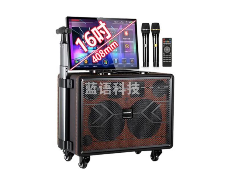 TEMEISHENG 特美声TA08-88广场舞音响 带显示屏拉杆户外音箱 带声卡一体机 双6吋重炮16吋屏+美声双麦+500G