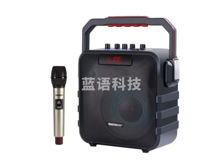 TEMEISHENG特美声SL05-26广场舞音响 便携式户外音响 SL26(5.5吋大功率)单话筒