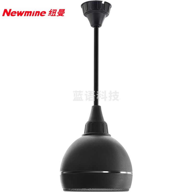 纽曼(Newmine) 吸顶音响 F45 有源无线吸顶吊球音响(一拖四) (