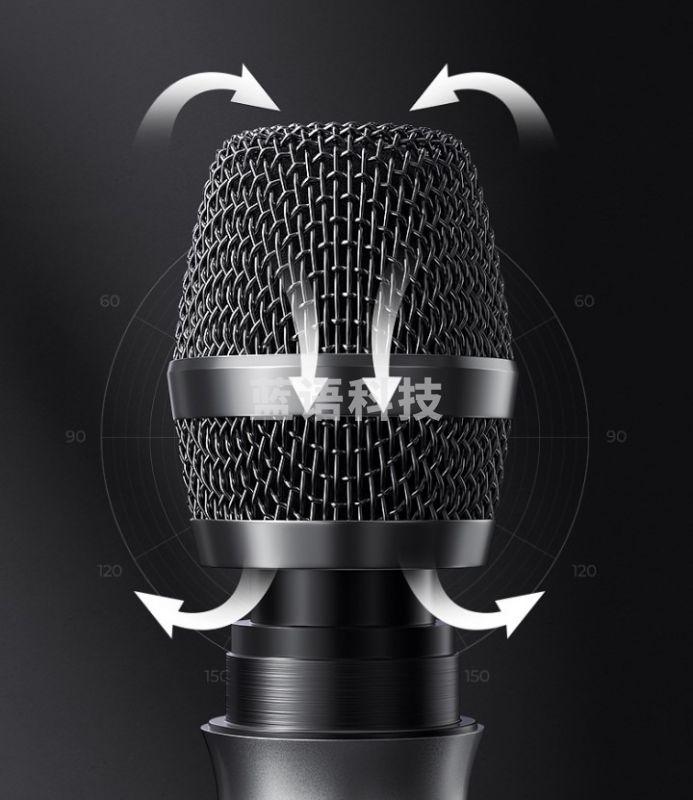 新科（Shinco）无线话筒麦克风家用ktv唱歌充电金属调频户外音响电脑直 H11【K歌麦霸版】 双无线话筒