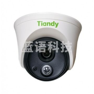 天地伟业200万4倍红外迷你警戒球 TC-H523Q