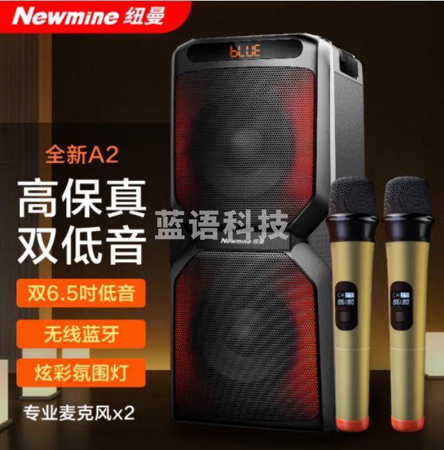 纽曼（Newmine）A2音响蓝牙音箱便携式 双6.5英寸喇叭 带双无线话筒