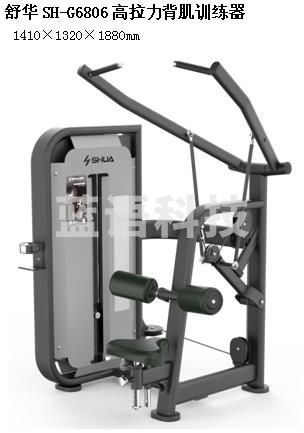 舒华SH-G6806高拉力背肌训练器