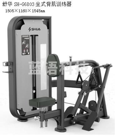 舒华SH-G6803坐式背肌训练器