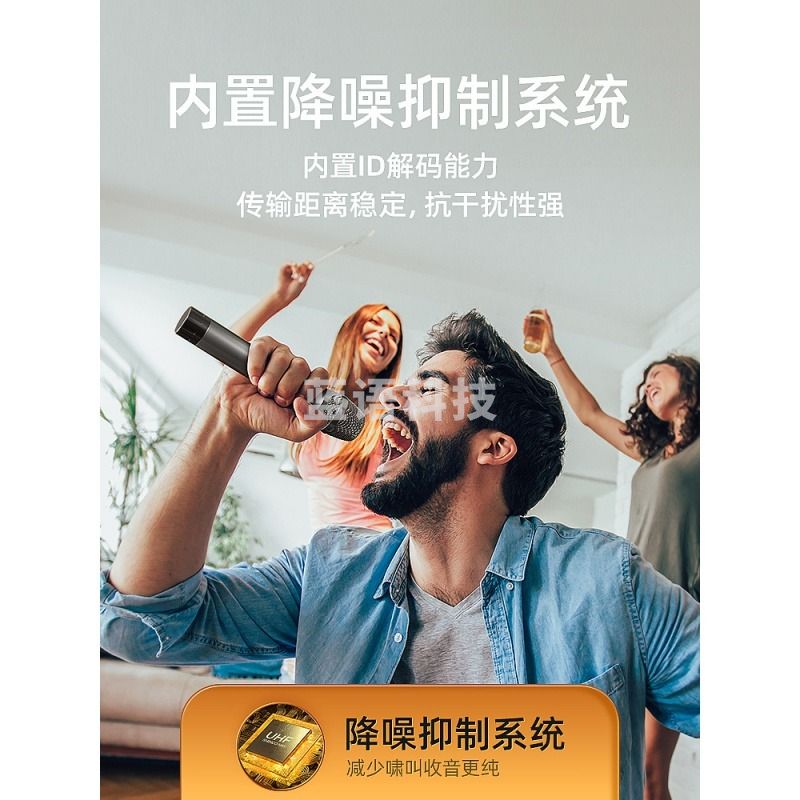 新科（Shinco）无线话筒麦克风家用ktv唱歌充电金属调频户外音响电脑直 H62【唱将旗舰版】 双无线话筒（半金属、充电）